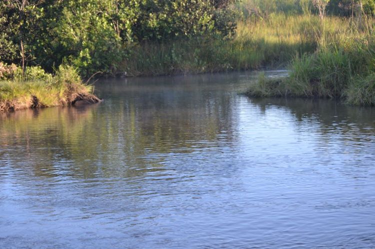 El rio Kuemba.  Vista parcial